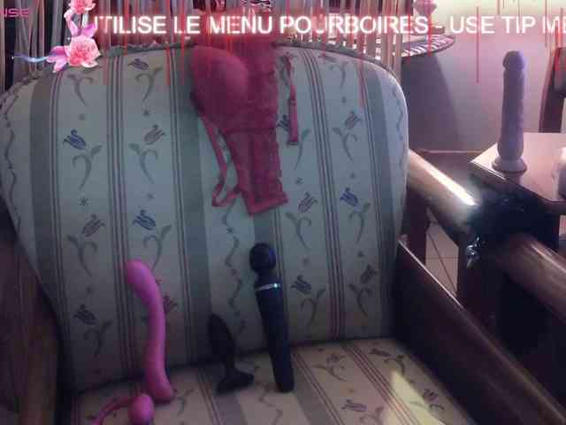 FRENCH-LISA webcam