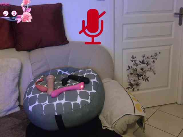 FRENCH-LISA webcam