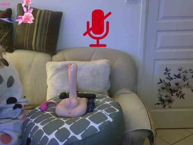 FRENCH-LISA webcam