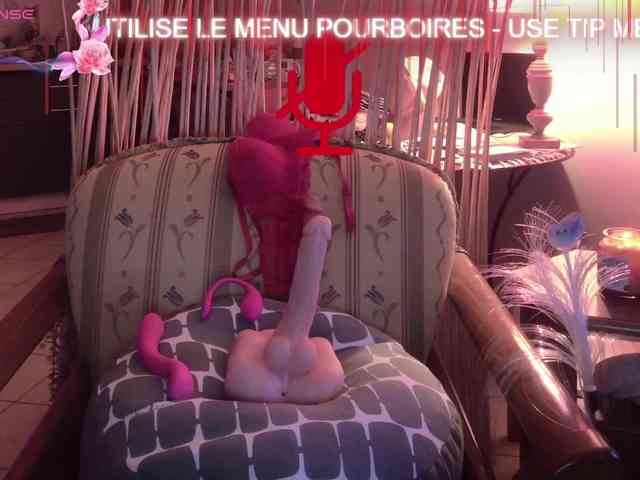 FRENCH-LISA webcam