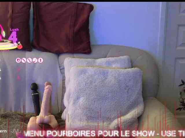 FRENCH-LISA webcam