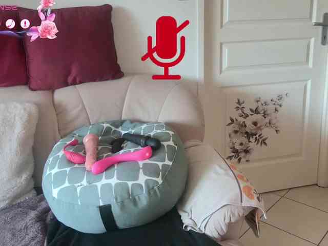 FRENCH-LISA webcam