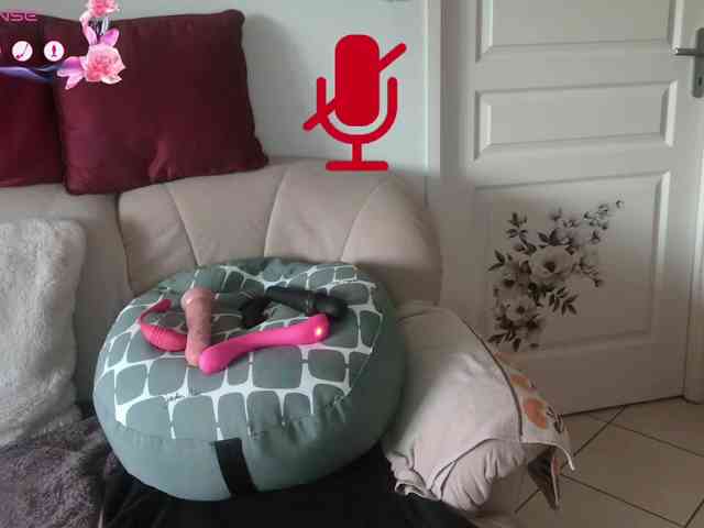 FRENCH-LISA webcam