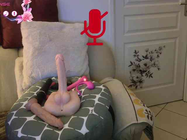 FRENCH-LISA webcam