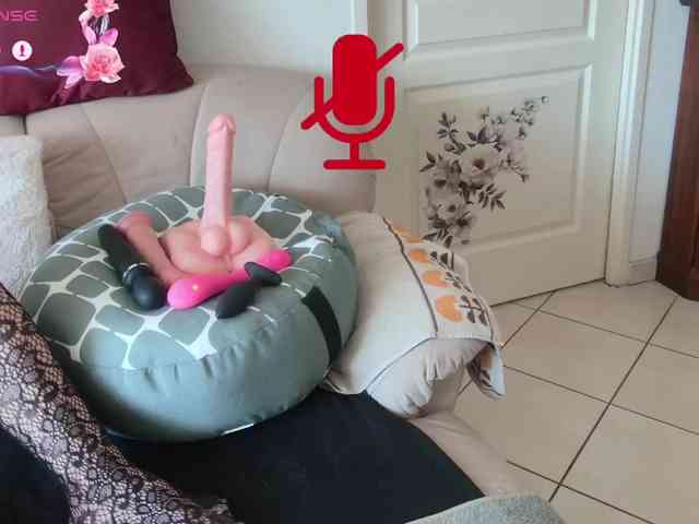 FRENCH-LISA webcam
