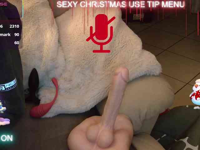 LISACAM2CAM LISACAM2CAM