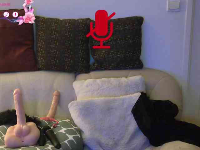 FRENCH-LISA webcam