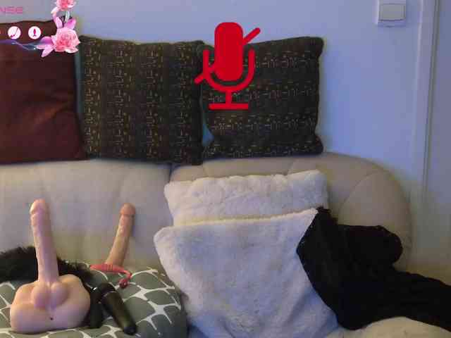 FRENCH-LISA webcam
