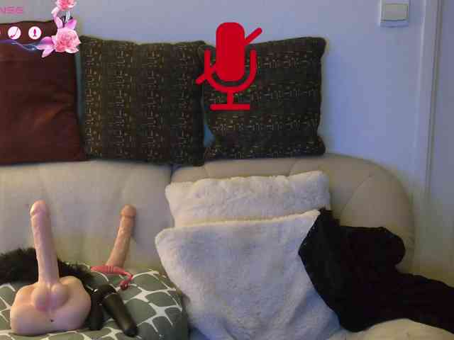 FRENCH-LISA webcam