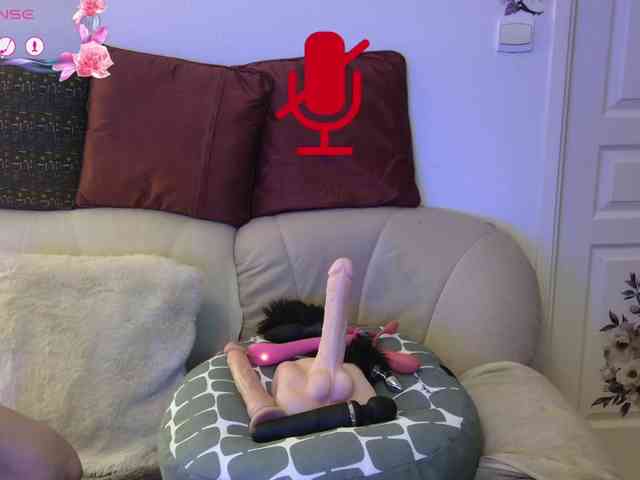 FRENCH-LISA webcam