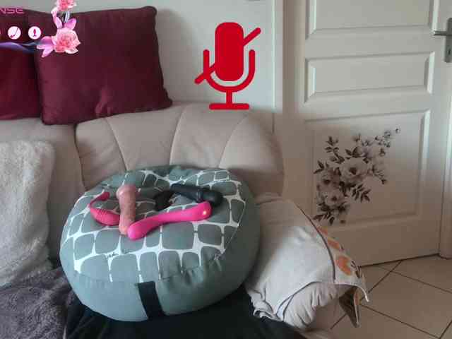 FRENCH-LISA webcam