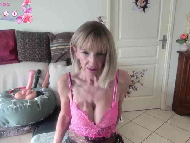 FRENCH-LISA webcam