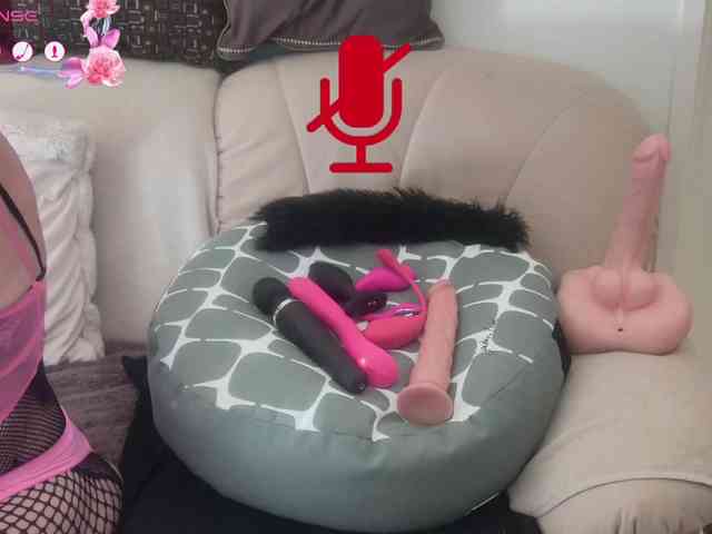FRENCH-LISA webcam