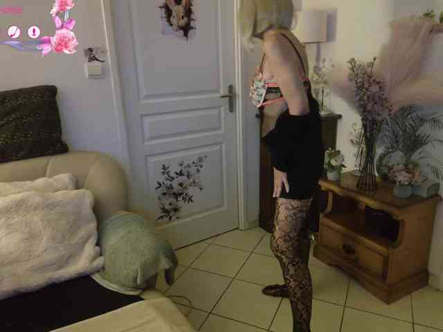 FRENCH-LISA webcam