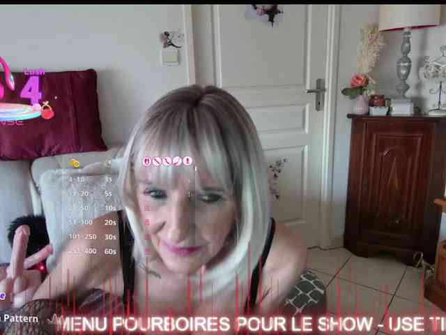 FRENCH-LISA webcam