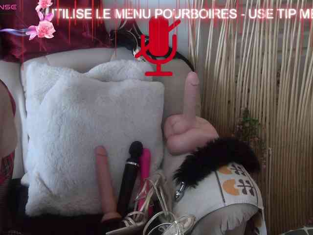 FRENCH-LISA webcam