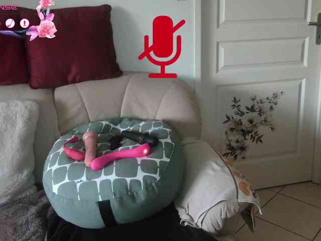 FRENCH-LISA webcam