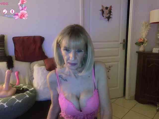 FRENCH-LISA webcam