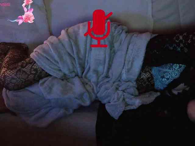 FRENCH-LISA webcam