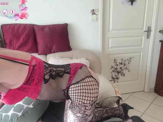 FRENCH-LISA webcam