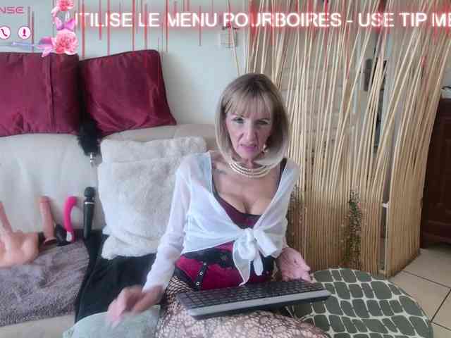 FRENCH-LISA webcam