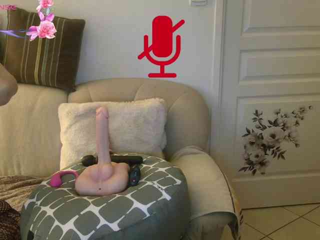 FRENCH-LISA webcam