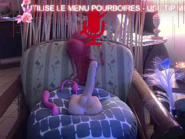 FRENCH-LISA webcam