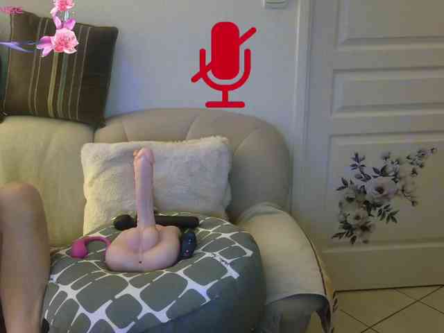 FRENCH-LISA webcam