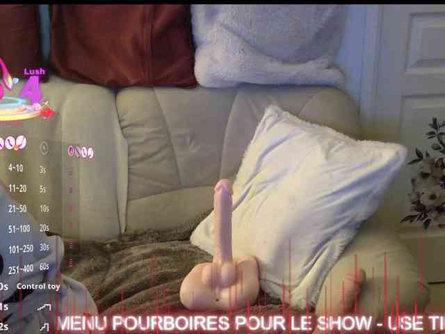 FRENCH-LISA webcam