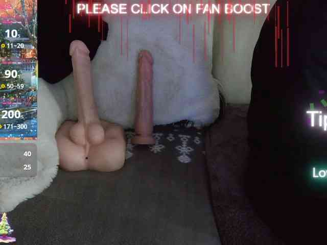 LISACAM2CAM LISACAM2CAM