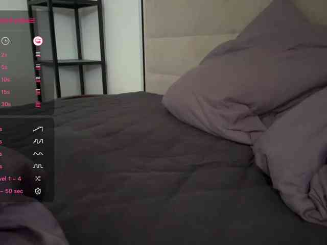 Nikaenigma webcam