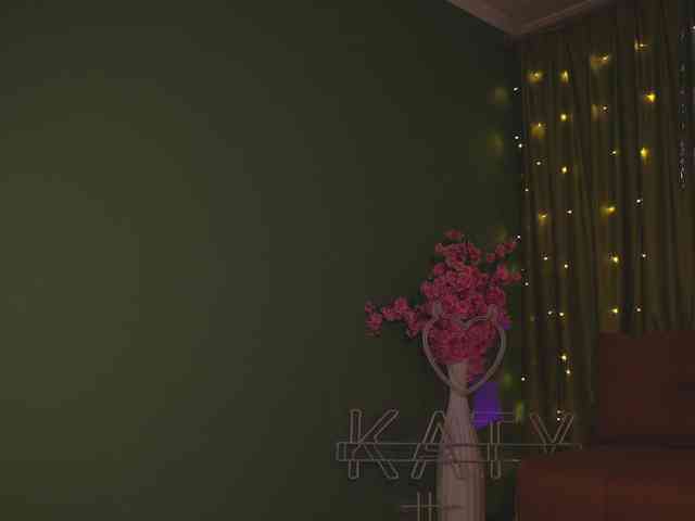 katy-ethereal webcam