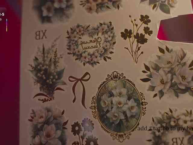 katy-ethereal webcam