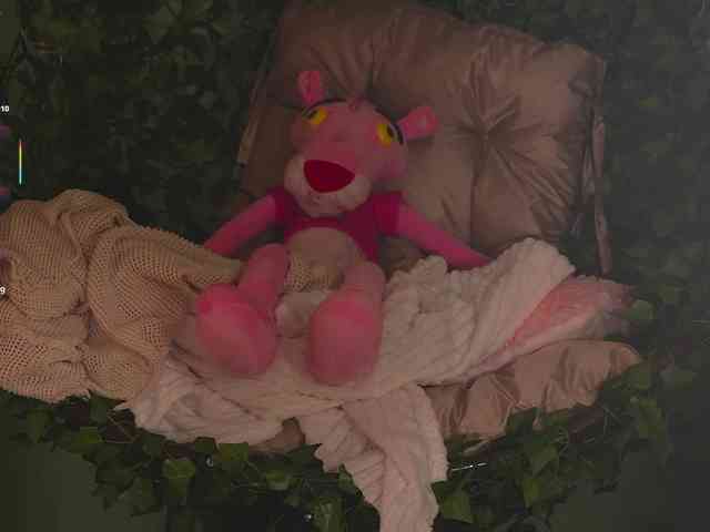 katy-ethereal webcam