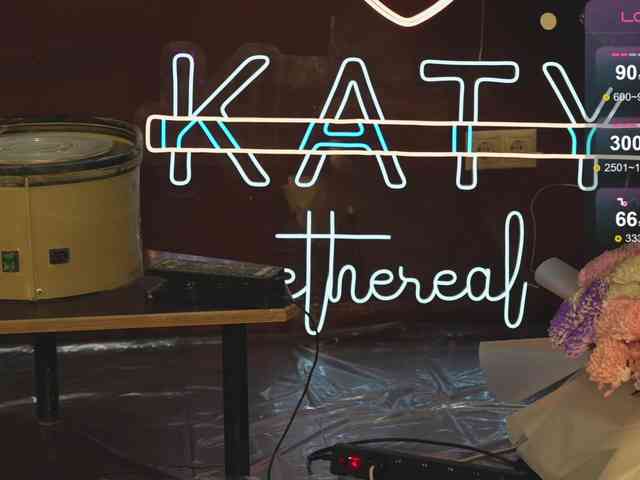 katy-ethereal webcam