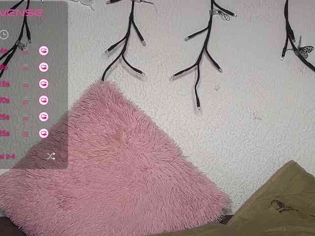 HeyZoe webcam