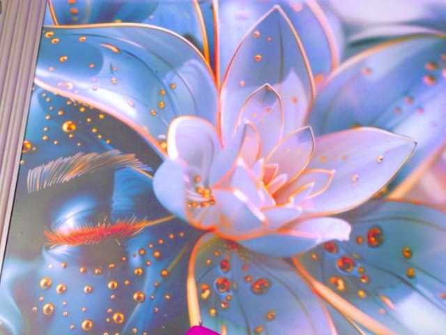 blaisysmith's BongaCams show and profile