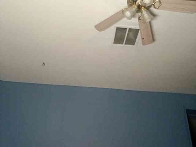 Wild_at_Heart webcam