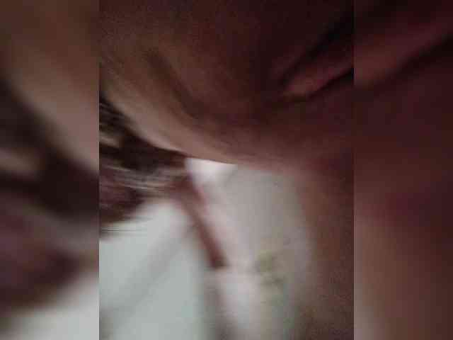Wild_at_Heart webcam