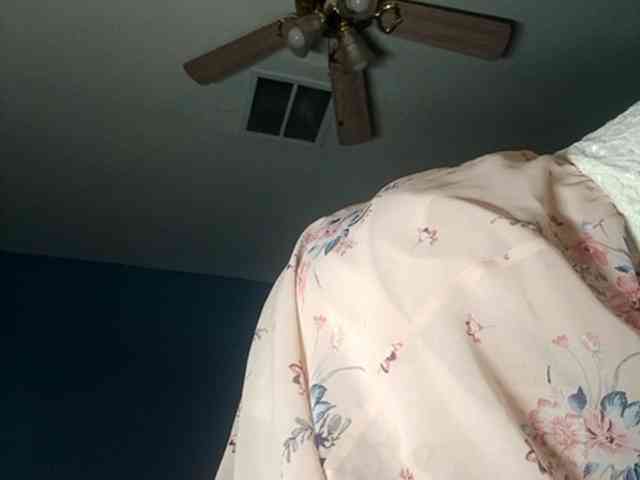 Wild_at_Heart webcam