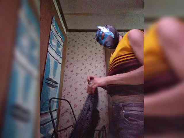Wild_at_Heart webcam