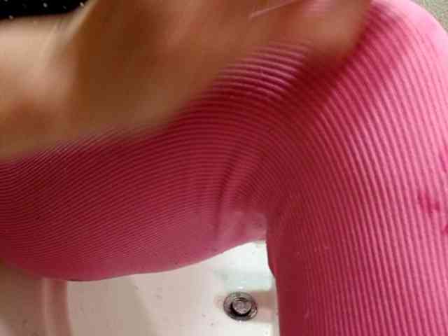 Wild_at_Heart webcam