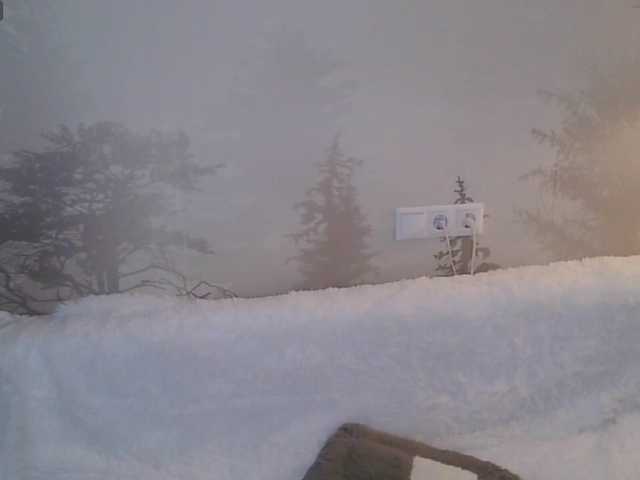 Kissz from BongaCams is Freechat