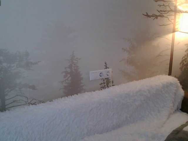 Kissz's BongaCams show and profile