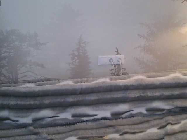 Kissz's BongaCams show and profile