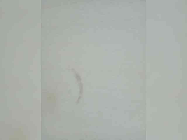 EmmiHot webcam