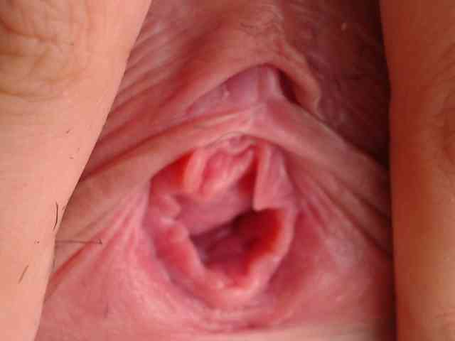 melany-suggar webcam