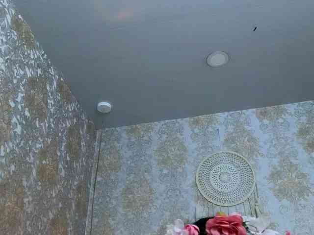 CrystalBrooke3x webcam