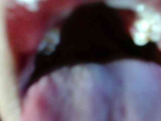 CrystalBrooke3x CrystalBrooke3x