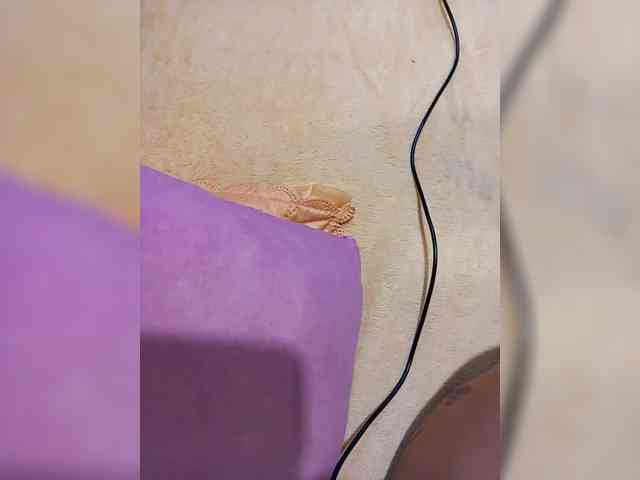 Cottoncandy1-1 webcam